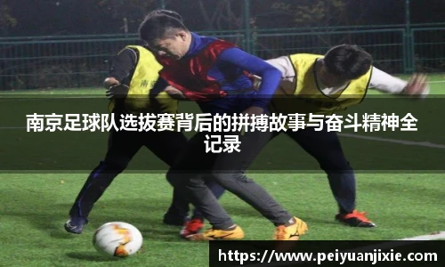 三亿体育官网入口