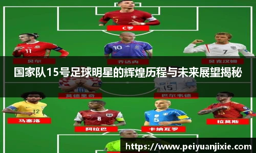 国家队15号足球明星的辉煌历程与未来展望揭秘