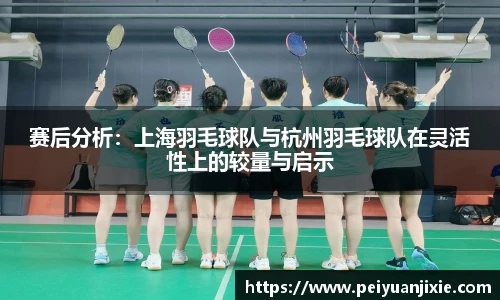 三亿体育官网入口