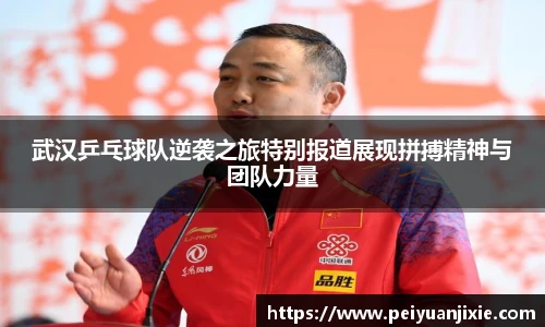 三亿体育娱乐网站