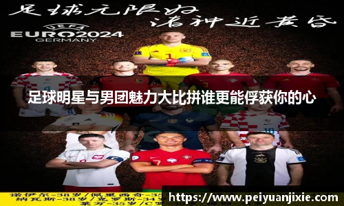 三亿体育官网入口