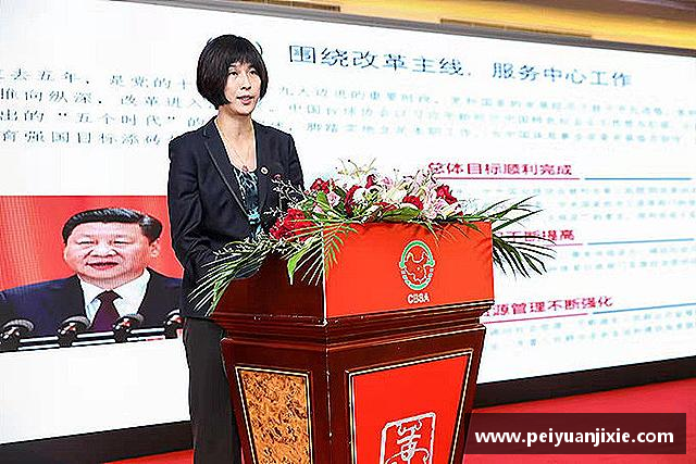 发现三亿体育娱乐网站